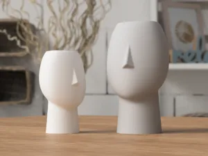 Face Vase