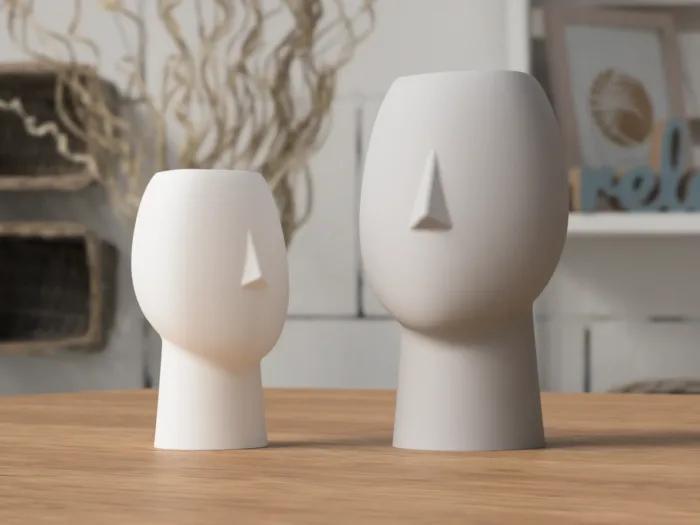 Face Vase